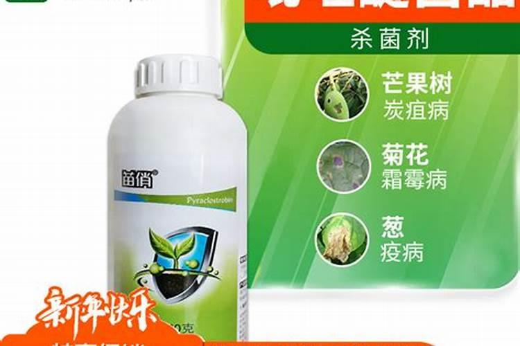 茶树十月份修剪以后需要喷施什么药