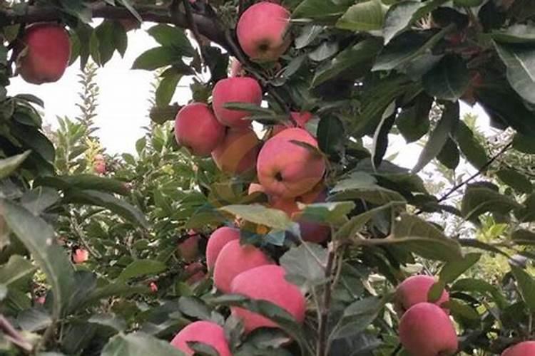 水溶性蛋白质概念