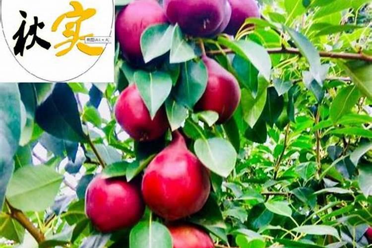 如何给孩子补锌