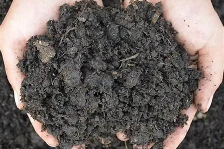 有人说猪粪尿是好肥料,为什么会这么说呢？