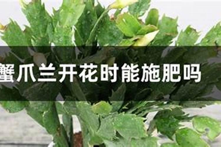 十大名牌尿素化肥排名