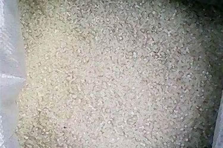 葡萄叶面肥可以使用哪些肥料？稼乐夫告诉您