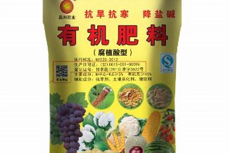 软枣猕猴桃苗适合什么季节种植？