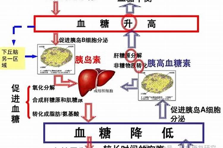 植物生长平衡液和调节剂一样吗为什么