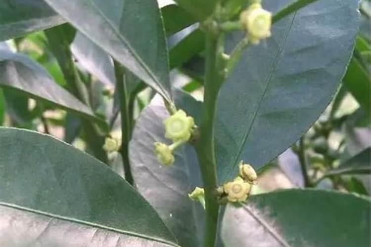 开展全国节能宣传活动总结