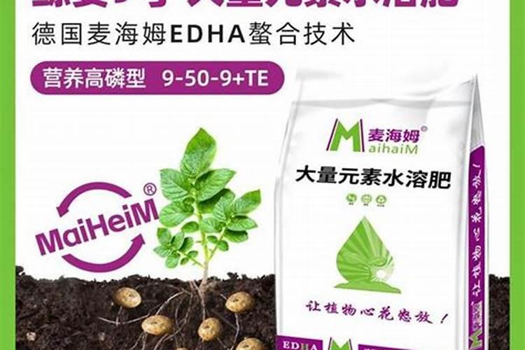 使用碳酸氢铵应注意什么