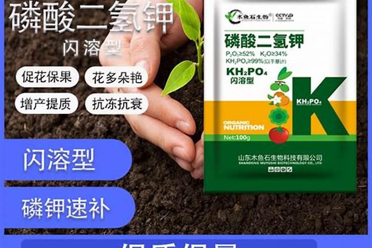 磷酸二氢钾做叶面肥过量怎么解救→？