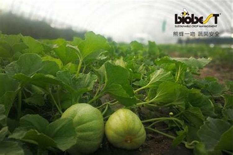 天津天丰泽田生物科技有限公司怎么样？