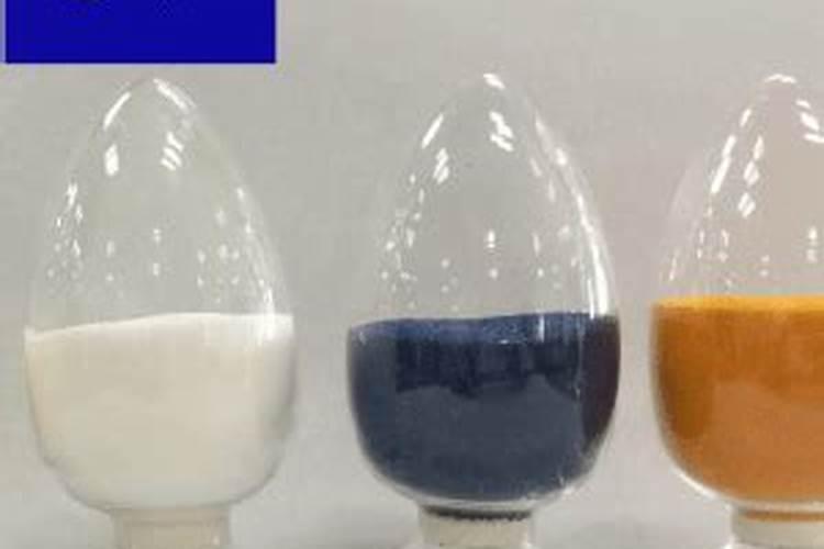 华南地区最大的草莓种苗繁育基地在哪里？繁育草莓种苗需要哪些技术？