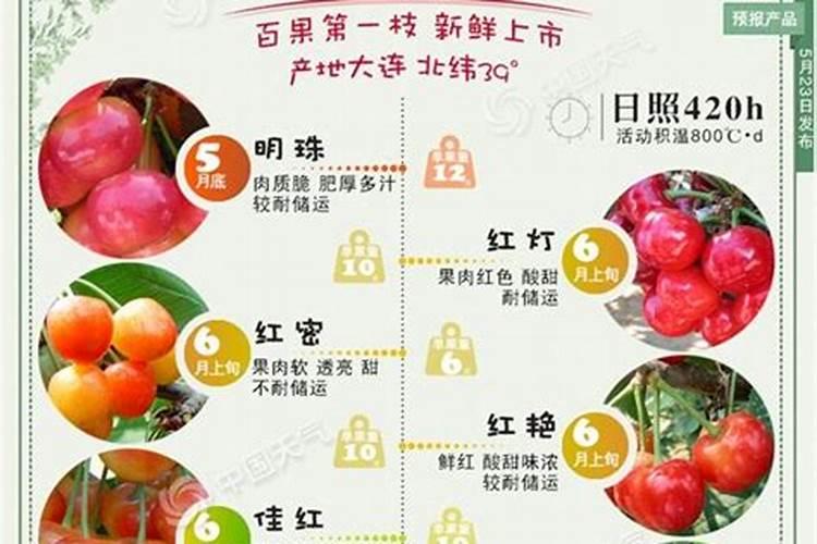 樱桃使用什么肥料最好