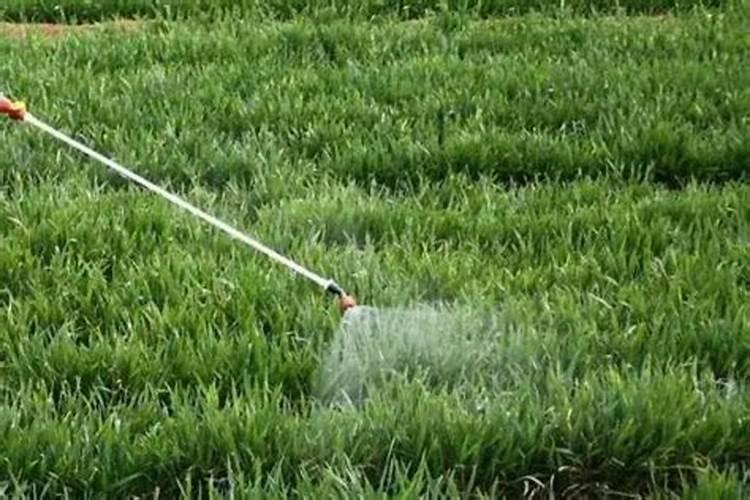 乙烯利不能和哪些农药混用