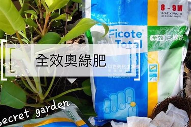 文竹施肥过多怎么处理,施肥后用浇水吗