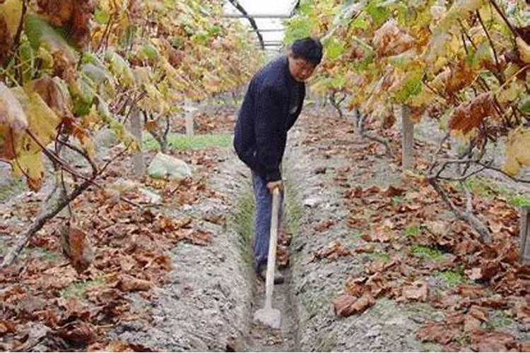 重庆宝田地产(集团)有限公司开发项目简介program Profile