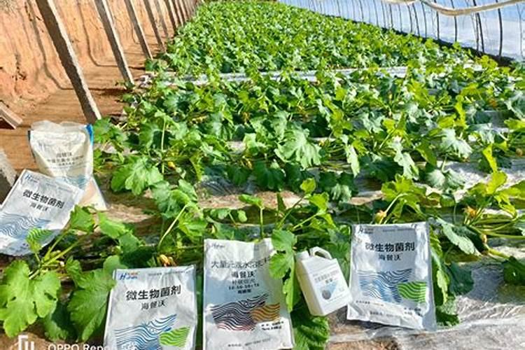 腐植酸钾大客户采购渠道有哪些