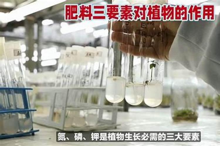 生产复合肥的氮肥 磷肥和钾肥分别有哪些