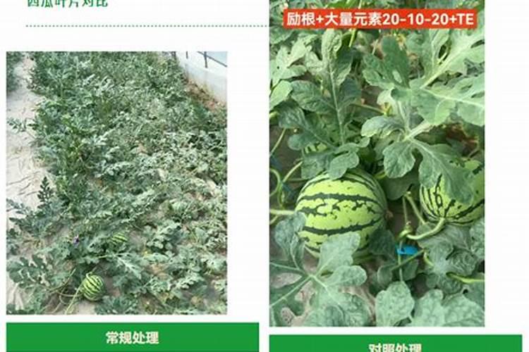 钾宝肥效多久