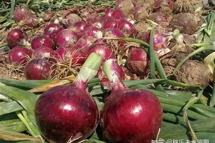 多元金融股票龙头排名