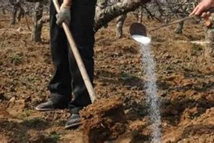 八韵草旗舰店怎么关了