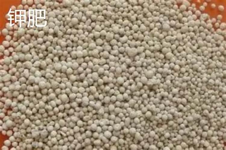 哪个牌子的奶油比较好？