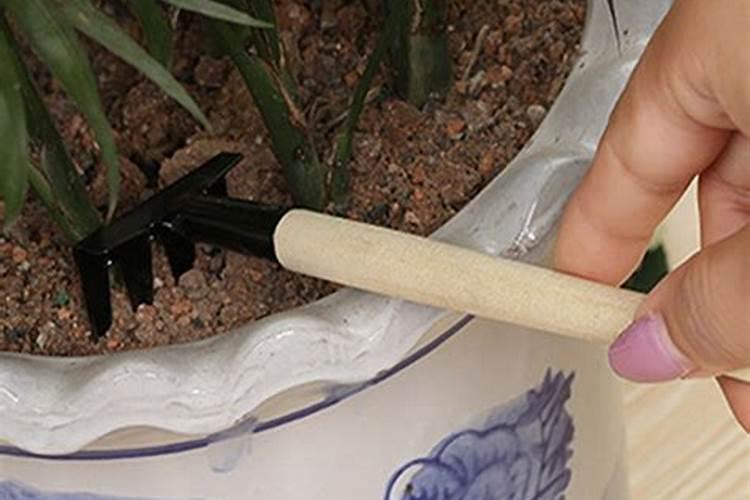 红薯宝宝专用肥对黄豆有害吗