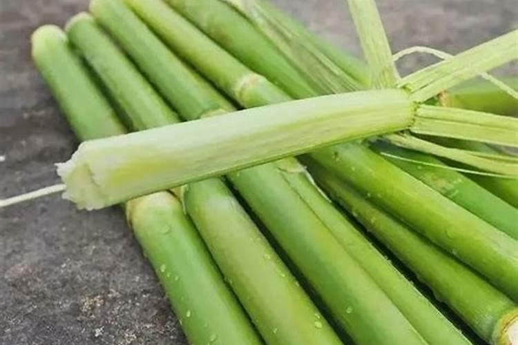 甜芦粟施复合肥能粗壮吗