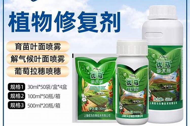 什么肥料用作香瓜底肥好