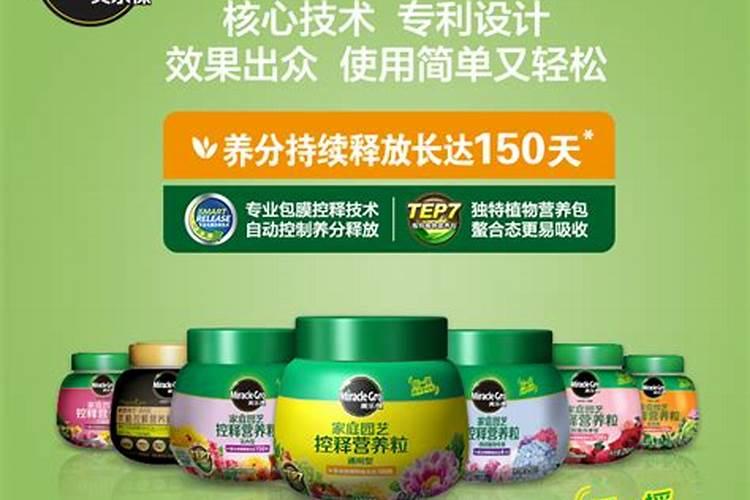 兰花叶面肥有哪些