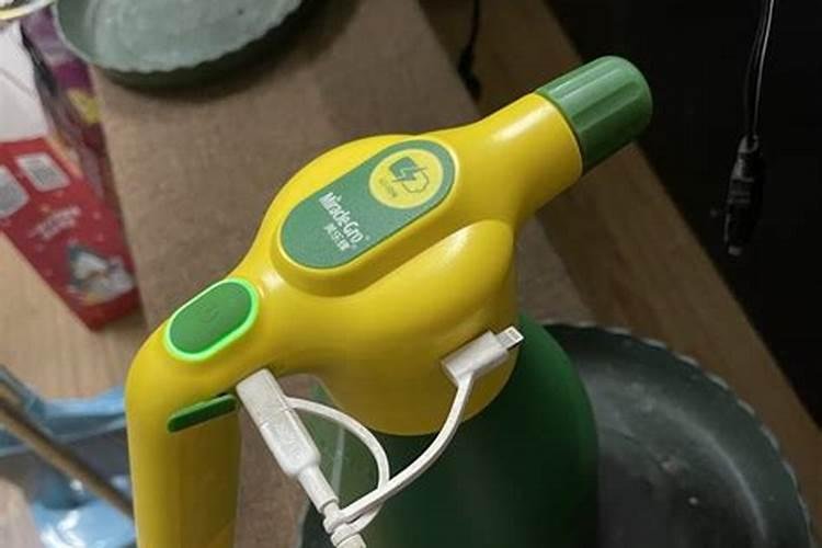 碧玉施什么肥最好