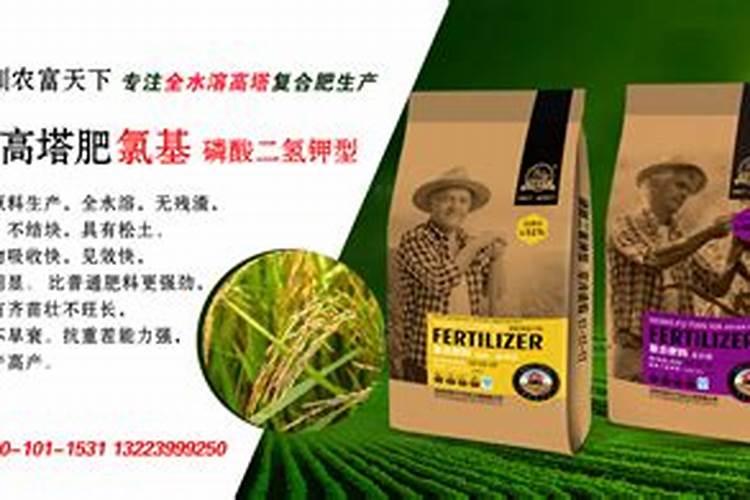 玉米金大棒叶面肥哪个牌子好