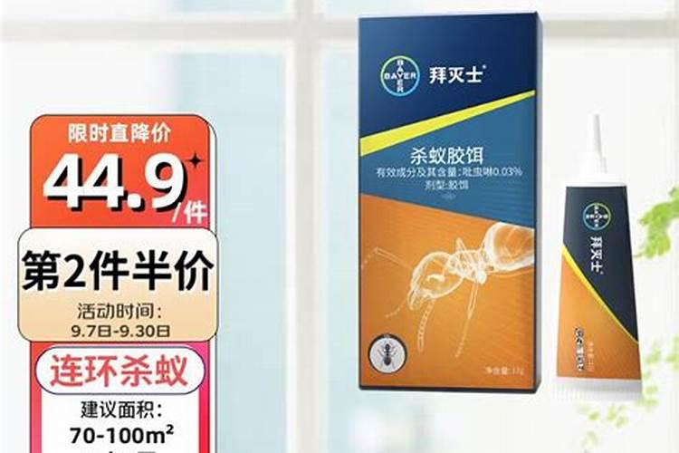 富贵竹水养怎么养