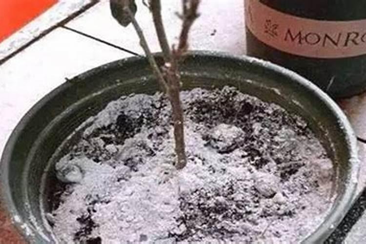 生物工程公司经营范围有哪些