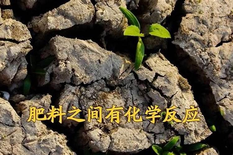 猕猴桃追肥用什么肥料好？怎样让果实快速膨大？防裂叶面肥金泰靓