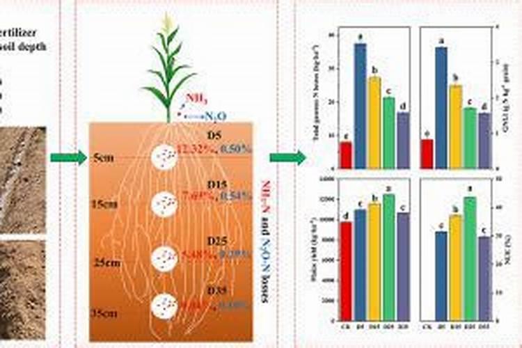 氮肥多久施一次