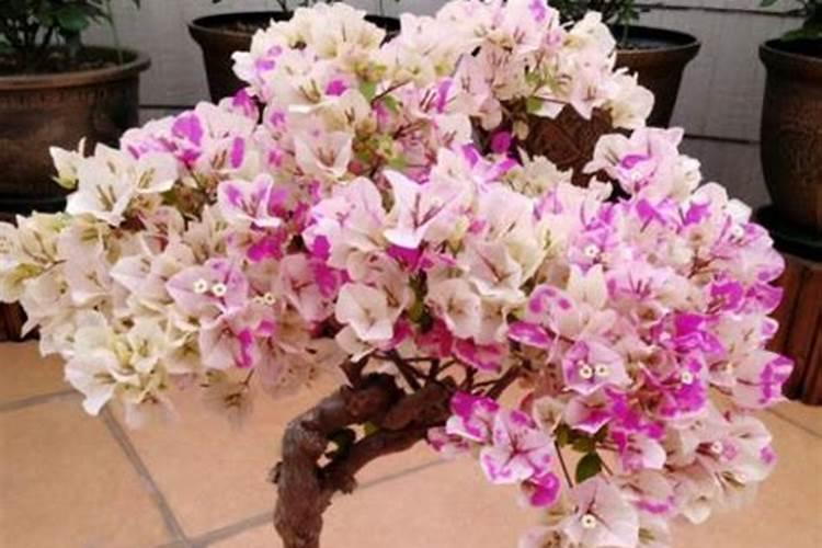 硝铵磷肥能与硫酸钾合用吗。？