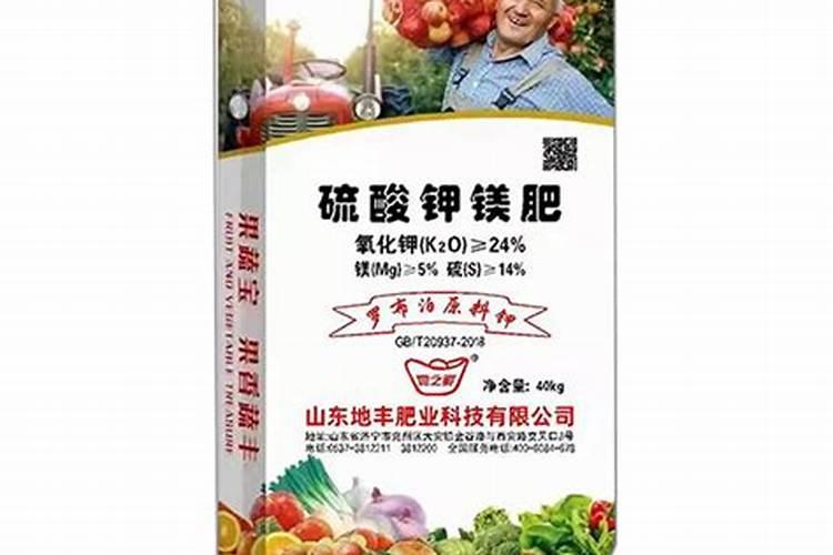 蝴蝶兰的栽培方法及注意事项