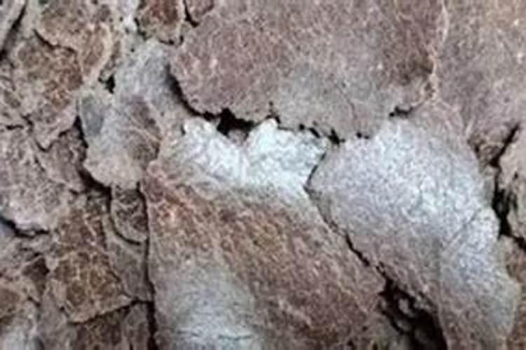 花生抗重茬用什么叶面肥？花生根腐病怎么用肥？花生枯黄萎病冲施肥用根小...