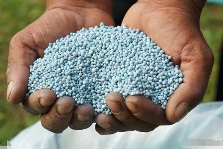 烟草施硫酸钾最佳时间 使用方法有哪些