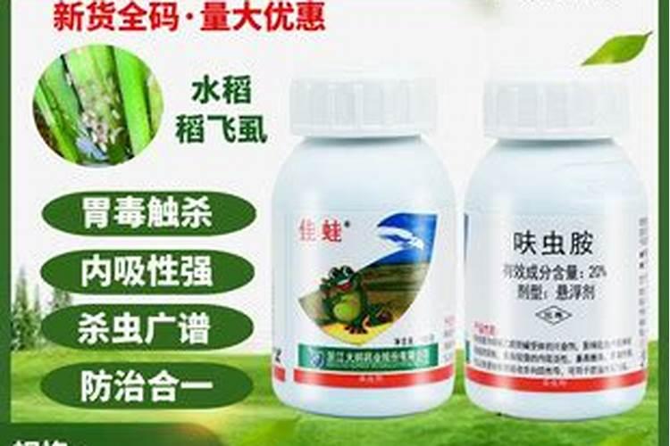 稻飞虱特效药最好是什么药