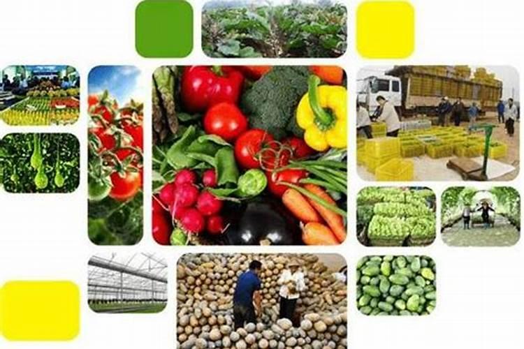 控释肥十大品牌排行榜