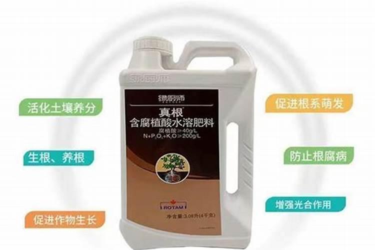 喷施叶面肥有哪些好处