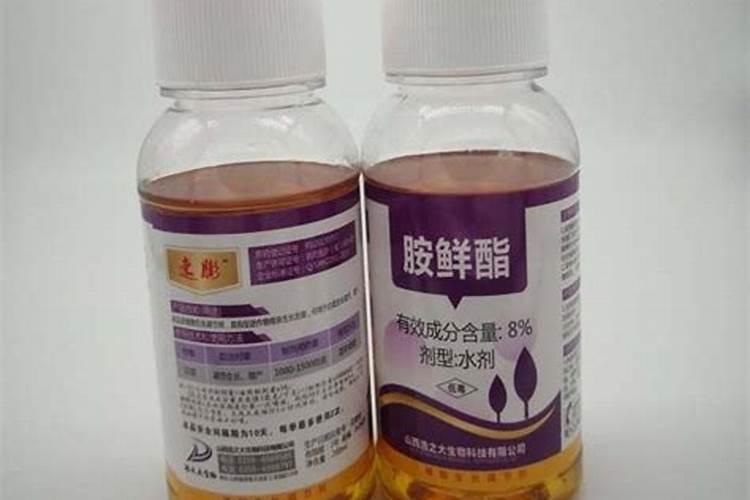 胺鲜酯达到膨大目的的配方是怎样的