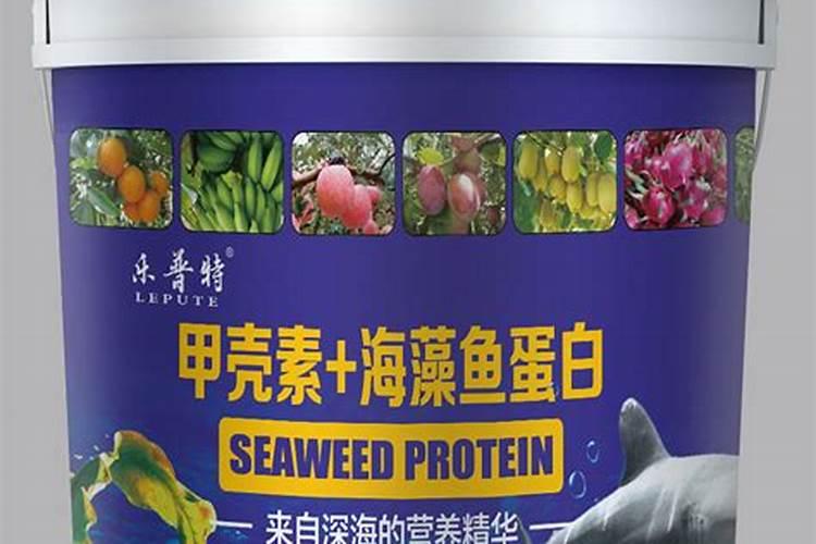 嫁接红松苗栽在山东能结果吗