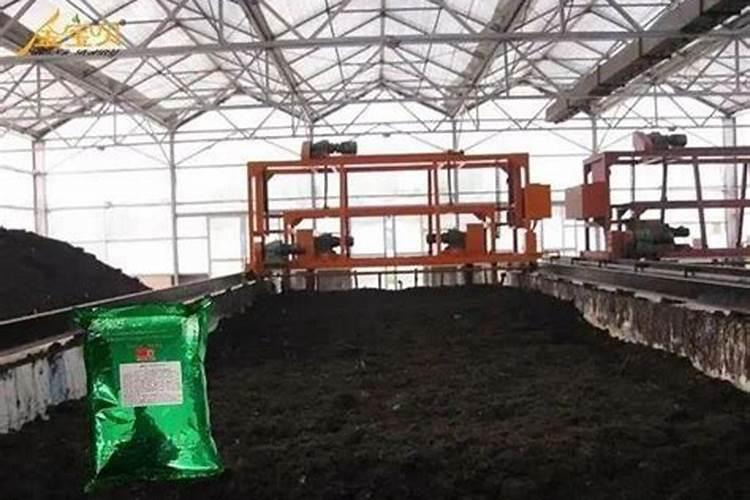 猪粪居然可以卖38万？看看他们是怎么做的