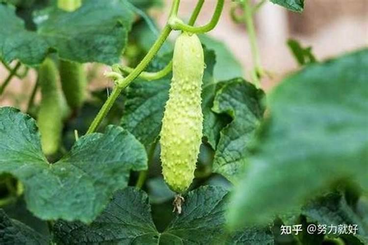 从赵作海案件看刑讯逼供的危害性