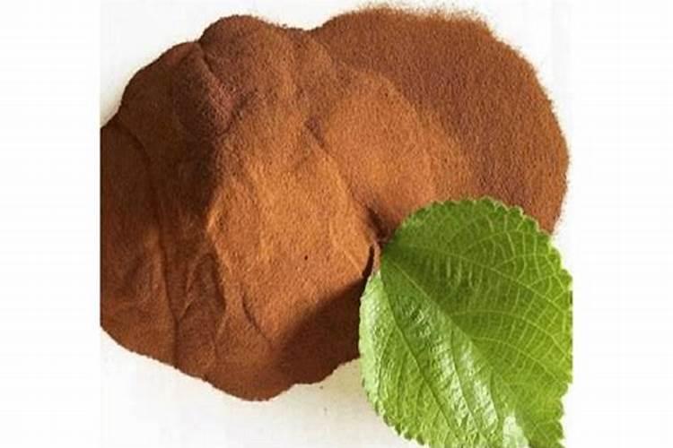 橡皮树用什么肥料好