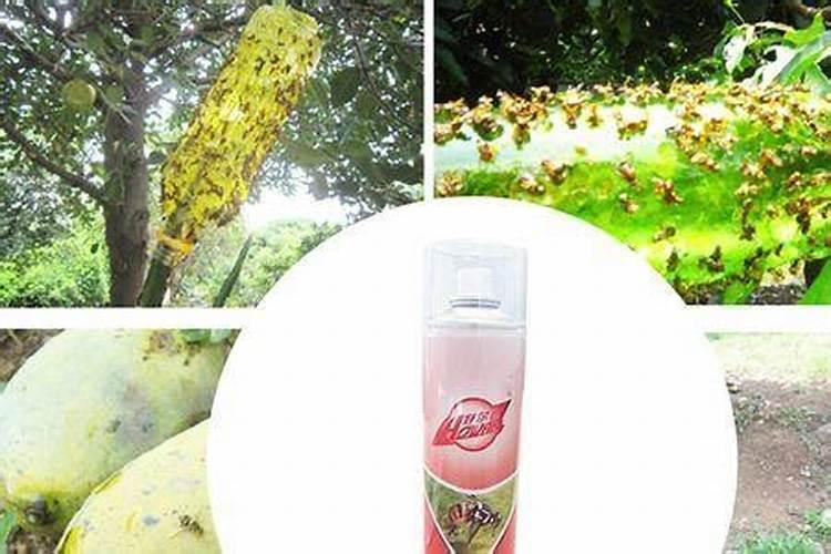 哪位大师知道哪些食物含钾高？