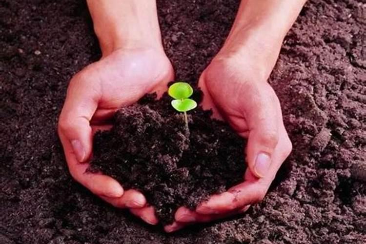 为什么灰化肥会发黑,黑化肥会发灰？