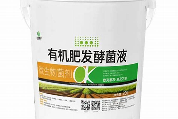 玩具熊向日葵施肥后可以马上浇水吗花卉百科