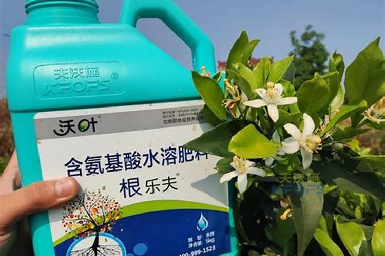 果树用氨基酸水溶肥价格