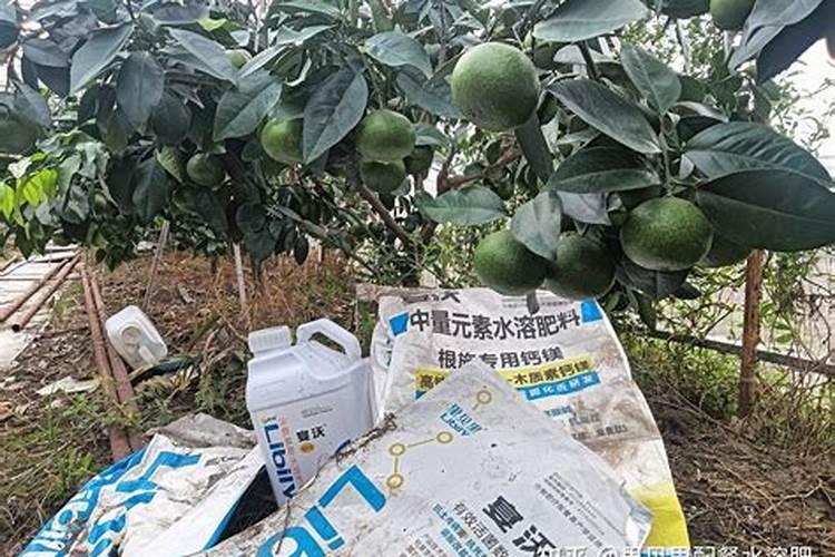 果实膨大期,钙肥亩施用量